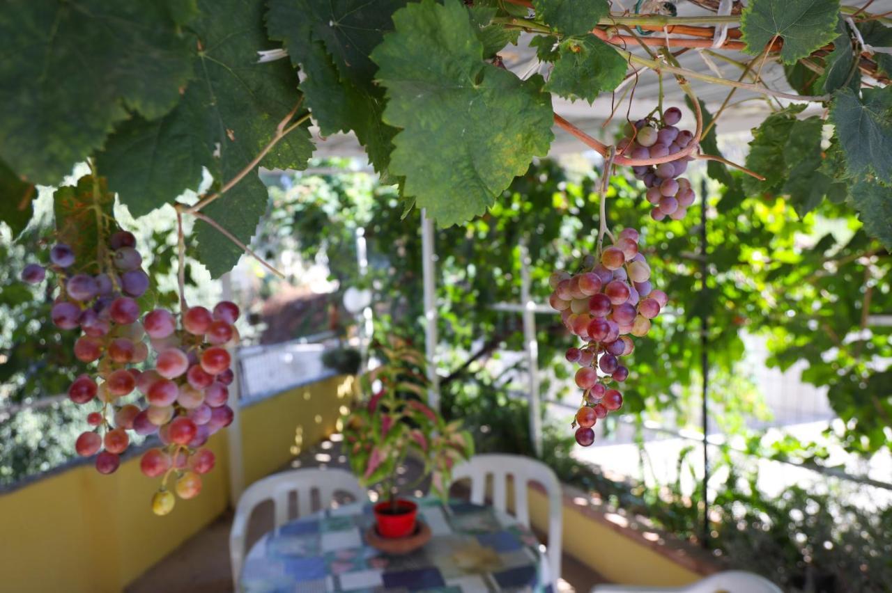 Locanda del Sole Tropea Bed and Breakfast Ricadi Esterno foto